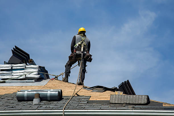 Professional Roof Replacement technician working in Franklin Park, FL